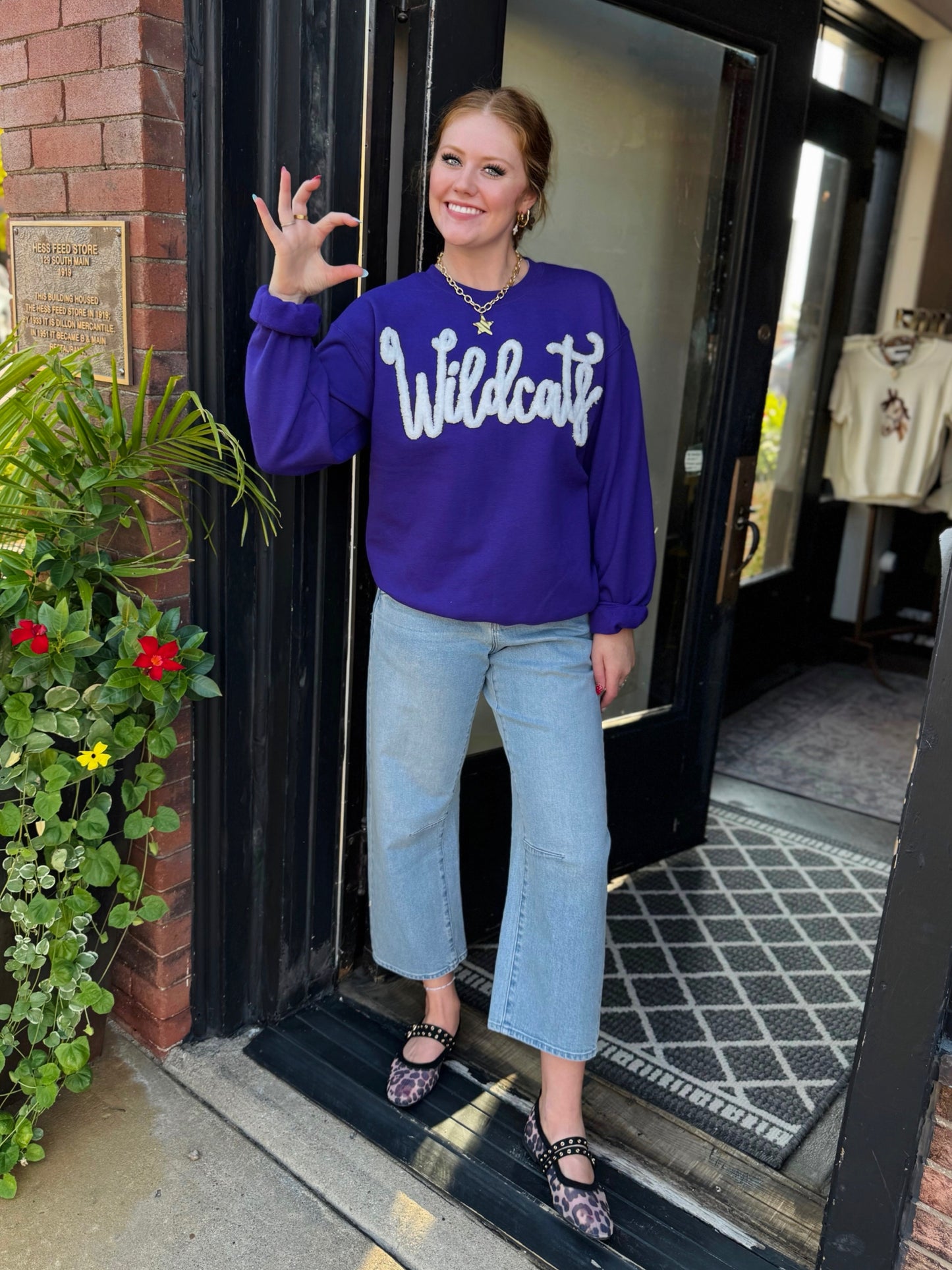 Wildcats Embroidered Sweatshirt
