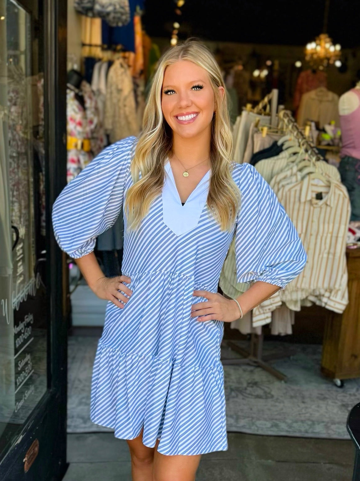 Smith & Quinn Chambray Stripe Tory Dress