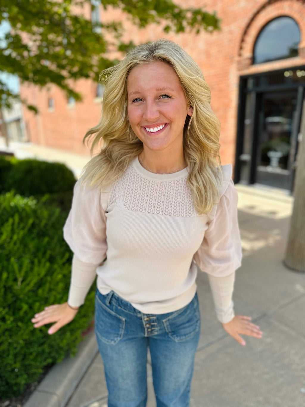 Juliet Sleeve taupe Ruffle Sweater