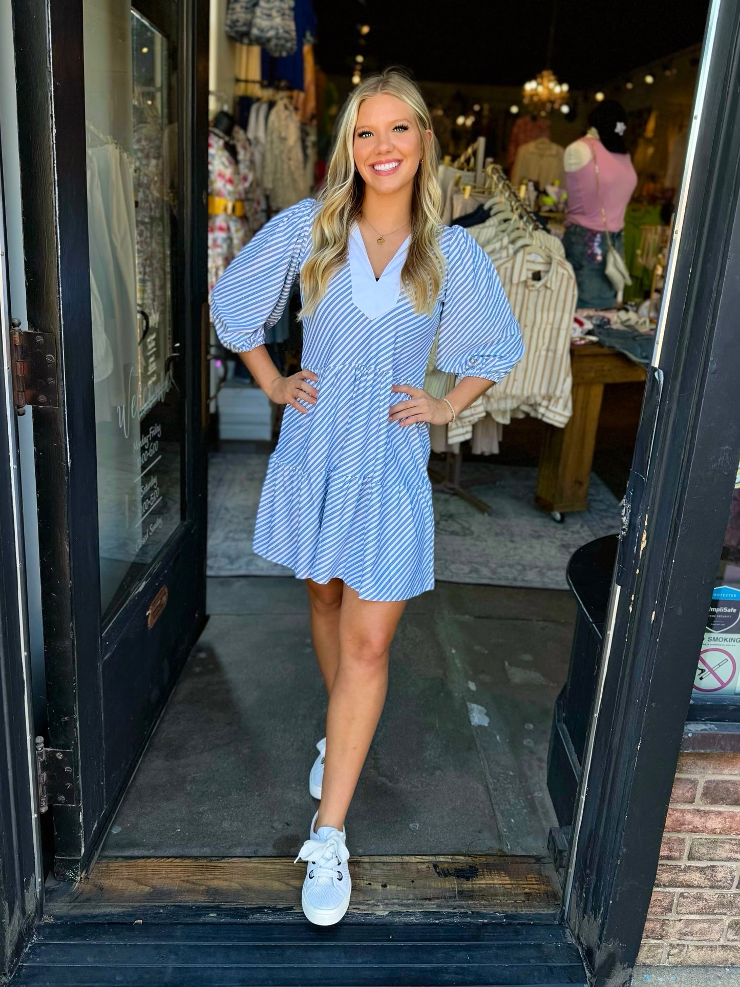 Smith & Quinn Chambray Stripe Tory Dress